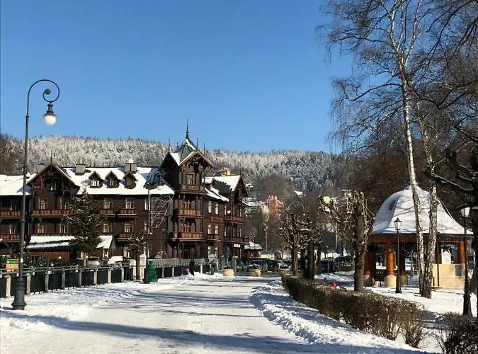 Sanatoriumnadkryniczanka Daire Krynica Zdroj